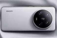 Xiaomi 15 dan 15 Ultra Diklaim Rajanya Kamera,  Cocok Bila Ingi Pengalaman Fotografi Premium 