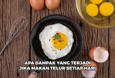 Apa yang Terjadi Jika Kamu Makan Telur Setiap Hari?