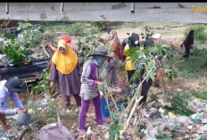 DLH Lahat Bekerjasama Pemdes Nanjungan Bersihkan Sampah dan Tanam Pohon Pelindung, Ini Buktinya 