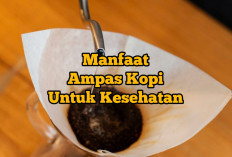 Dibuang Sayang! Ternyata Ampas Kopi Banyak Manfaatnya untuk Kesehatan Kulit, Yuk Coba Gunakan