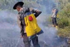 Berikut Cara Tim Gabungan Penanggulangan Karhutla Padamkan Api di Indralaya Utara