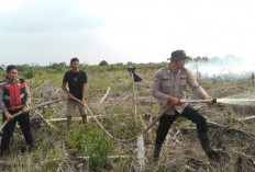Polisi dan Tim Gabungan Mitigasi dan Pemadaman Karhutla di Payakabung Ogan Ilir, Ini Luasan Lahan Terbakar