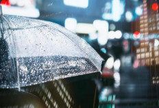 Prakiraan Cuaca di Sumsel Rabu 17 September 2025, Prediksi BMKG Musim Hujan Datang Lebih Cepat