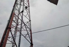 Pria di Palembang Panjat Tower Seluler, Ada Apa, Begini Penjelasan Kapolsek Sukarami 