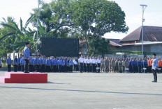 8 ASN di Pemkab Empat Lawang Dijatuhi Hukuman Berat, Kira-kira Gegara Apa Ya