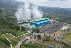 Diminati Sektor Industri, Penjualan Listrik Hijau REC PLN Tumbuh Sepanjang 2025, Berapa Persen