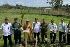 Danramil 405-01 Tebing Tinggi Hadiri Penanaman Pohon Kelapa, Ini Kata Dia