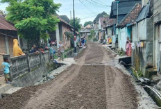 Lega! Material Tutup Jalan Utama Desa Senuro Diratakan