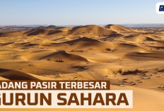 5 Fakta Menarik Gurun Sahara, Padang Pasir Terpanas di Dunia