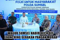 Jempol Dua! Wagub Cik Ujang Puji Sinergi Polda Sumsel dan Bulog Wujudkan Pangan Murah untuk Warga