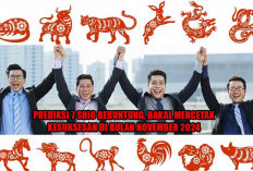 Dapat Rezeki Tak Terduga! Simak Prediksi 7 Shio Beruntung, Bakal Mencetak Kesuksesan di Bulan November 2024