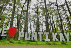 18 Menit dari Bandara SMB II, Ada Flora dan Fauna Memukau di Taman Wisata Alam Tersembunyi di Palembang