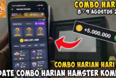 Baru Rilis! Sandi dan Combo Harian Hamster Kombat 9 Agustus 2024, Klaim dan Kumpulkan Koin Gratisnya!