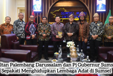 SMB IV Audiensi Pj Gubernur Elen Setiadi, Bikin Kesepakatan Besar Hidupkan Marwah Melayu di Sumsel