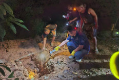 Polisi Selidiki Dugaan Mutilasi Lansia di Pulau Pinang Terduga Pelaku Buron