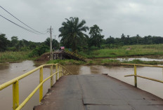 Jembatan di Ogan Ilir Ambruk Dihantam Tumpukan Eceng Gondok, Akses Lubuk Rukan-Muara Kumbang Putus