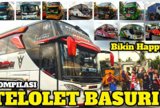 Daftar 'Bus Artis' Telolet Basuri Mengular, Kompilasi Terunik di Indonesia!