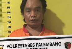 Curi Puluhan Dus Sarden dari Mobil Box, Pria di Palembang Ditangkap Polrestabes Palembang