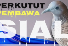 7 Jenis Burung Perkutut Pembawa Sial, Segera Lepaskan ke Alam Liar!