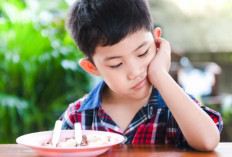 Jangan Marahi Anak Saat Tak Mau Makan Nanti Bisa Stres, Ini Penyebab Anak Malas Makan 