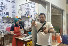 Jelang Ramadan, Permintaan Ikan Giling di Palembang Naik 3 Kali Lipat!