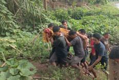 Kakek Korban Tenggelam di Desa Ngulak II Berhasil Ditemukan 