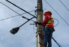 Tingkatkan Keandalan Jaringan, PLN ICON PLUS Sumbagsel Lakukan Pemeliharaan Preventif Kabel Fiber Optik