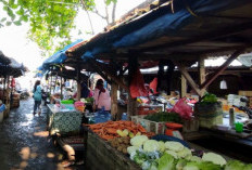 Harga Cabai Menyusut Tajam, Pedagang di Martapura Kebanjiran Pembeli