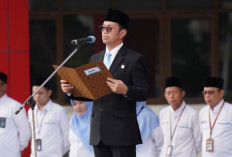 HLN ke-80, PLN UIP Sumbagsel Teguhkan Semangat Transformasi Menuju Energi Hijau dan Pengabdian untuk Negeri