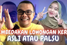 Hati-hati! Begini Cara Membedakan Lowongan Kerja Asli dan Palsu di Internet!