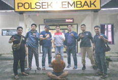 Otak Pencuri Minyak Mentah Milik Pertamina Tertangkap Tim Gabungan Pamtup Zona 4 dan Reskrim Polsek Lembak