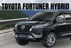 Terungkap Alasan Anak Muda Lebih Suka Mobil Hybrid, Ternyata Karena Hal Ini