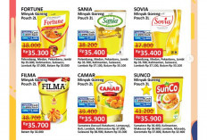 Simak! Promo JSM Alfamart Periode 30 November 2024, Sania Minyak Goreng Pouch 2L Rp35.400