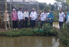 Dinas Perikanan Lahat Salurkan Bibit Ikan Lele dan Gurame di Agrowisata Taman Buah Lesung Batu, Ini Penjelasan