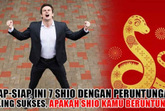 Tahun Ular Kayu 2025: Siap-Siap, Ini 7 Shio dengan Peruntungan Paling Sukses, Apakah Shio Kamu Beruntung? 