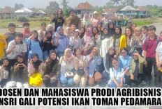 Gali Potensi Ikan Toman Pedamaran, ini Inovasi Menakjubkan oleh Dosen dan Mahasiswa Prodi Agribisnis Unsri 