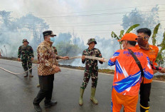 Lihat Kepulan Asap di Perjalanan, Bupati Toha Langsung Turun Padamkan Karhutla