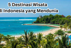 Kamu Wajib Bangga Ini 5 Destinasi Wisata di Indonesia yang Mendunia, Pemandangnya Bikin Berdecak Kagum