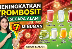 Bahan Alami Kaya Nutris! Inilah 7 Minuman yang Bisa Meningkatkan Kadar Trombosit Dalam Darah