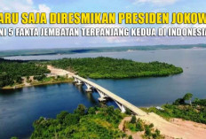 Baru Saja Diresmikan Jokowi, Ini 5 Fakta Jembatan Terpanjang Kedua di Indonesia, Telan Dana Rp1,43 Triliun