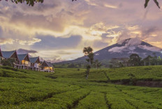 Prakiraan Cuaca di Sumsel Rabu 29 Oktober 2025, Pagar Alam Diprediksi Udara Kabur