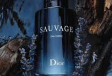 3 Parfum Dior Terbaik dengan Jaminan Dunia Mewah