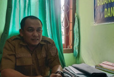 Demi Tingkatkan Produksi Pertanian, Dinas TPHP Lahat Lakukan 2 Langkah Ini, Simak Yuk Penjelasanya