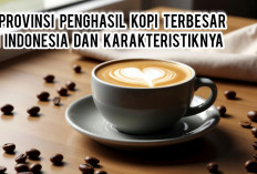 Sumatera Selatan Nomor 1! Ini 5 Provinsi Penghasil Kopi Terbesar di Indonesia dan Karakteristiknya