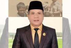 Anggota Dewan di Ogan Ilir ini Sebut di PT SPF ada 80 Tenaga Kerja Asing, Benarkah?