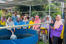 Berdayakan Kelompok Wanita Tani di Desa Pulau Harapan Banyuasin, ini Program Unggulan Tim PKM Mahasiswa Polsri