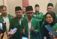 Secara Tersirat Evi Susanti Nahkodai PPP Prabumulih Karena Masuk Formatur