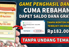 Modal Main Aplikasi, Dibayar Saldo DANA Ratusan Ribu Setiap Hari, Bisa Dicoba Sambil Rebahan, Yuk Buktikan!