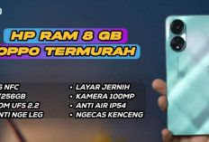 Cari HP dengan Kamera Berkualitas dan RAM Besar? Cek 5 Pilihan Terbaru Oppo 2024, Harga Terjangkau Bro!