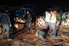 Ada Pembunuhan di Dedapan PT Arwana Ogan Ilir, Ini Identitas Korban dan Pelakunya